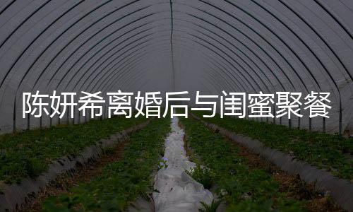 陳妍希離婚后與閨蜜聚餐狀態(tài)良好，獨(dú)立女性的魅力不減