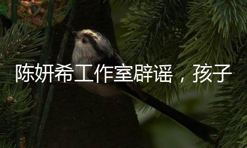 陳妍希工作室辟謠，孩子沒有轉學