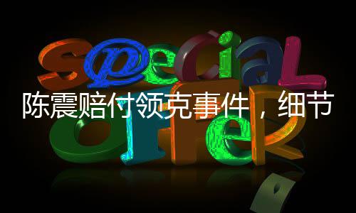 陳震賠付領(lǐng)克事件，細節(jié)揭秘與深度解讀