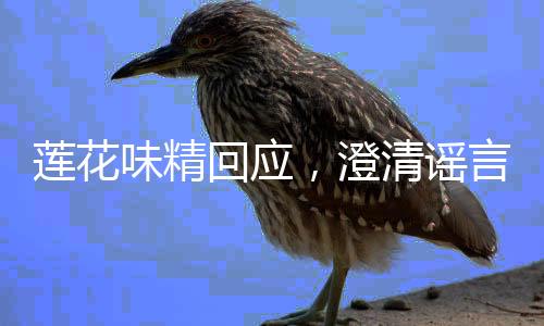 蓮花味精回應(yīng)，澄清謠言，正名行業(yè)先鋒地位 —— 全面解析事件進(jìn)展