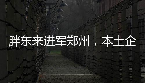 胖東來進軍鄭州，本土企業(yè)拓展新篇章