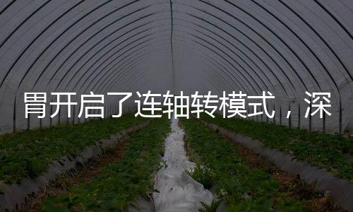胃開啟了連軸轉模式，深度解析人體消化新變化