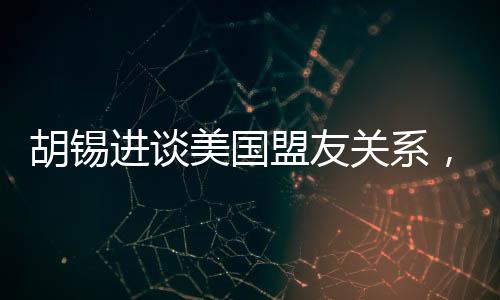 胡錫進(jìn)談美國(guó)盟友關(guān)系，做美國(guó)盟友真悲慘
