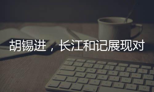 胡錫進，長江和記展現(xiàn)對祖國信心的堅定力量