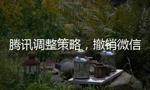 騰訊調(diào)整策略，撤銷微信藍(lán)包申請(qǐng)引發(fā)市場(chǎng)熱議