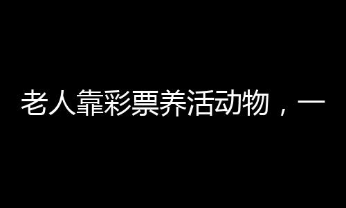 老人靠彩票養(yǎng)活動(dòng)物，一份熱愛(ài)與堅(jiān)持的故事