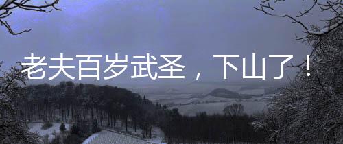 老夫百歲武圣，下山了！