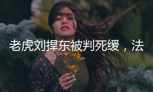 老虎劉捍東被判死緩，法律公正與社會(huì)反響