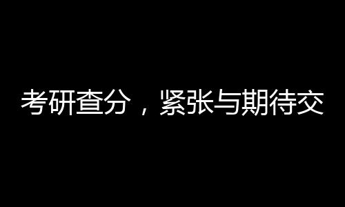 考研查分，緊張與期待交織的時刻