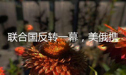 聯(lián)合國(guó)反轉(zhuǎn)一幕，美俄攜手反對(duì)烏提案