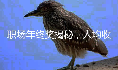 職場年終獎揭秘，人均收獲6091元，一線員工、白領有何所獲？且看詳細分析。
