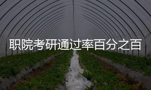 職院考研通過率百分之百，全面解讀成功背后的故事