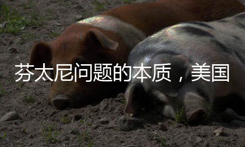 芬太尼問(wèn)題的本質(zhì)，美國(guó)面臨的挑戰(zhàn)