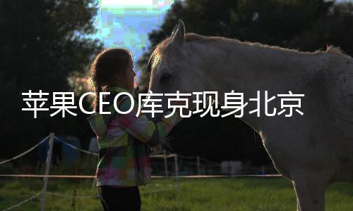 蘋果CEO庫克現(xiàn)身北京，登景山公園領略古都魅力
