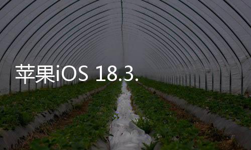 蘋果iOS 18.3.1正式版發(fā)布 修復重大漏洞