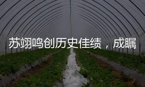 蘇翊鳴創(chuàng)歷史佳績，成矚目焦點(diǎn)
