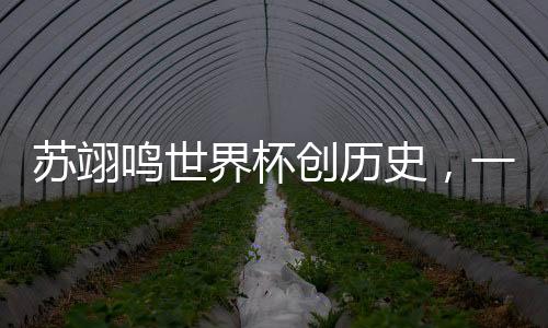 蘇翊鳴世界杯創(chuàng)歷史，一展中國滑雪少年的風采