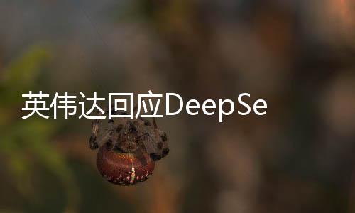 英偉達(dá)回應(yīng)DeepSeek模型，深入解讀前沿科技與未來(lái)發(fā)展動(dòng)向