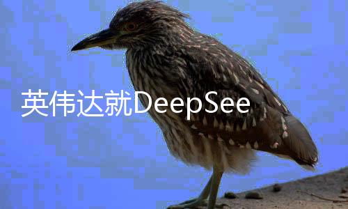 英偉達就DeepSeek發(fā)表聲明，引領AI技術的未來發(fā)展
