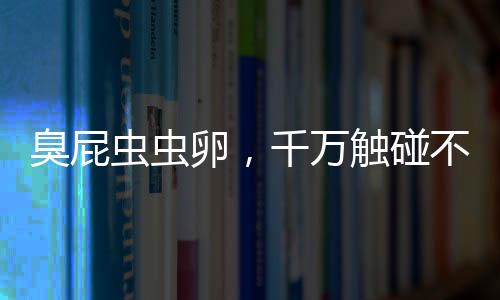 臭屁蟲蟲卵，千萬觸碰不得！危險(xiǎn)就在我們身邊的一二三……八項(xiàng)關(guān)鍵提示