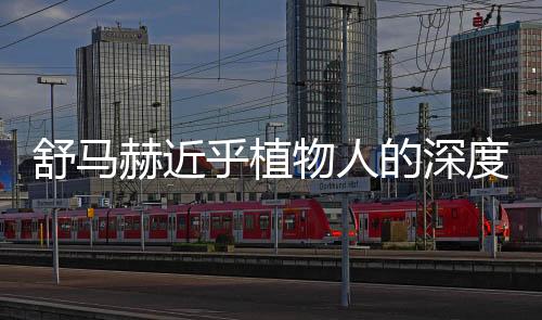 舒馬赫近乎植物人的深度報道