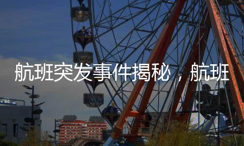 航班突發(fā)事件揭秘，航班上12個(gè)廁所堵塞，緊急應(yīng)對(duì)保障旅客安全