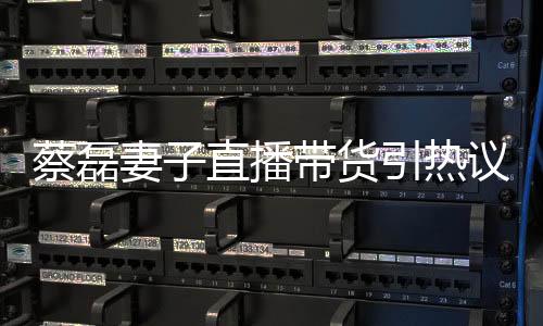 蔡磊妻子直播帶貨引熱議，坦誠回應(yīng)遭受大量惡評