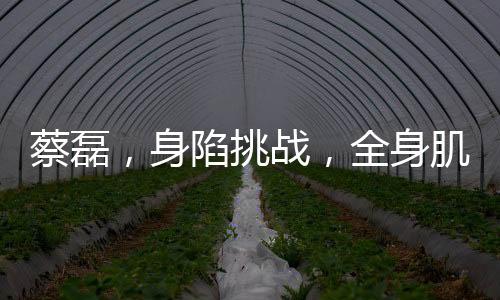 蔡磊，身陷挑戰(zhàn)，全身肌肉銳減引發(fā)關(guān)注——解讀一個(gè)普通背后的不平凡故事