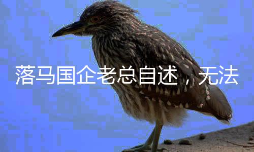 落馬國(guó)企老總自述，無(wú)法兌現(xiàn)的婚約與人生的失重教訓(xùn)