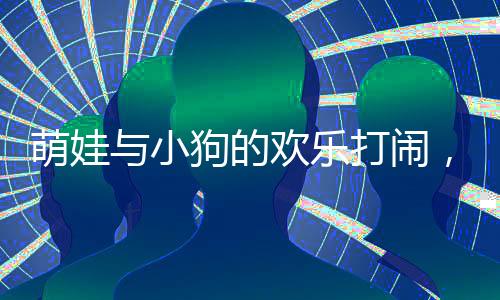 萌娃與小狗的歡樂打鬧，狗爸爸化身和事佬，和諧家庭展現(xiàn)溫馨一幕