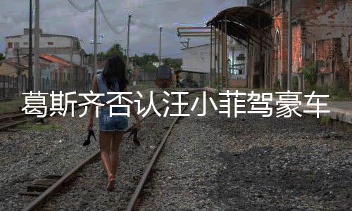 葛斯齊否認汪小菲駕豪車赴S家哀悼，揭秘事件真相