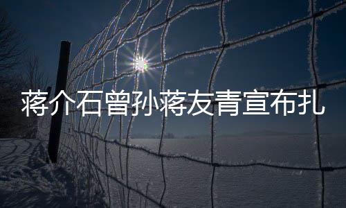 蔣介石曾孫蔣友青宣布扎根杭州，歷史與現(xiàn)代的交融