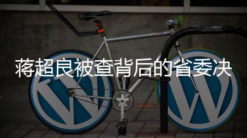 蔣超良被查背后的省委決心——湖北省反腐工作持續(xù)深化紀實