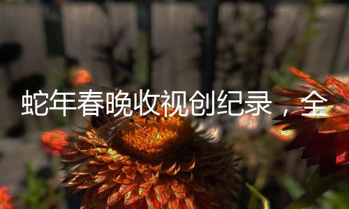 蛇年春晚收視創(chuàng)紀(jì)錄，全民狂歡夜的一二三四五六七八九十
