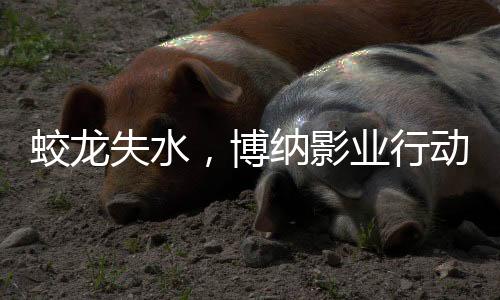 蛟龍失水，博納影業(yè)行動(dòng)遭遇挫折