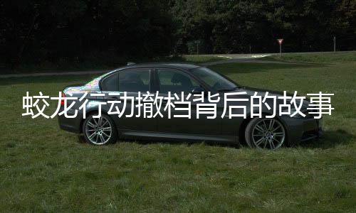 蛟龍行動(dòng)撤檔背后的故事，電影產(chǎn)業(yè)的波折與挑戰(zhàn)