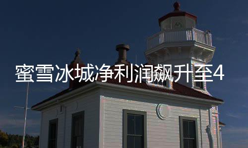 蜜雪冰城凈利潤飆升至44.5億，揭秘其成功之道