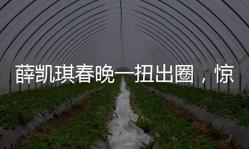 薛凱琪春晚一扭出圈，驚艷表演引發(fā)全民熱議