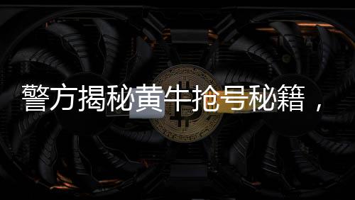 警方揭秘黃牛搶號(hào)秘籍，一網(wǎng)打盡非法手段維護(hù)公平正義