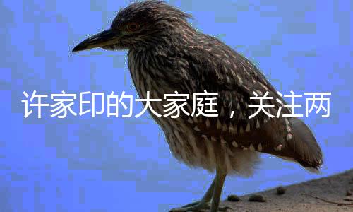 許家印的大家庭，關(guān)注兩名未成年子女的成長(zhǎng)故事