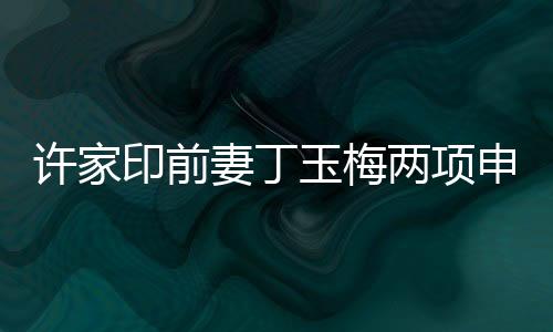 許家印前妻丁玉梅兩項申請被拒，引發(fā)社會關(guān)注熱議