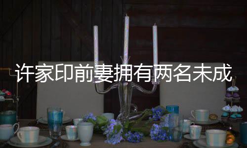 許家印前妻擁有兩名未成年子女，家庭背景與公眾關(guān)注