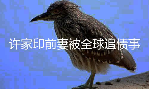 許家印前妻被全球追債事件深度解讀