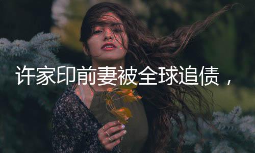 許家印前妻被全球追債，揭秘背后的故事