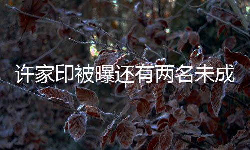 許家印被曝還有兩名未成年子女，揭秘商界巨頭背后的家庭秘密