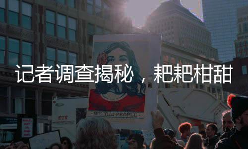 記者調(diào)查揭秘，耙耙柑甜度背后的真相，退酸劑傳聞究竟是否屬實(shí)？