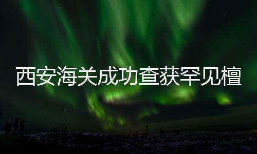 西安海關(guān)成功查獲罕見檀木三弦琴，彰顯文化保護重要性