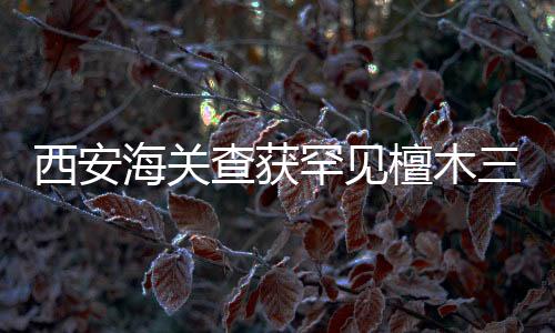 西安海關(guān)查獲罕見檀木三弦琴，一起了解事件背后故事