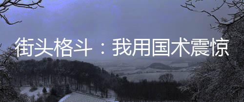 街頭格斗：我用國(guó)術(shù)震驚全球！