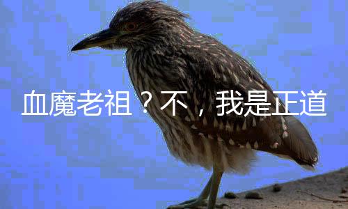 血魔老祖？不，我是正道的光！